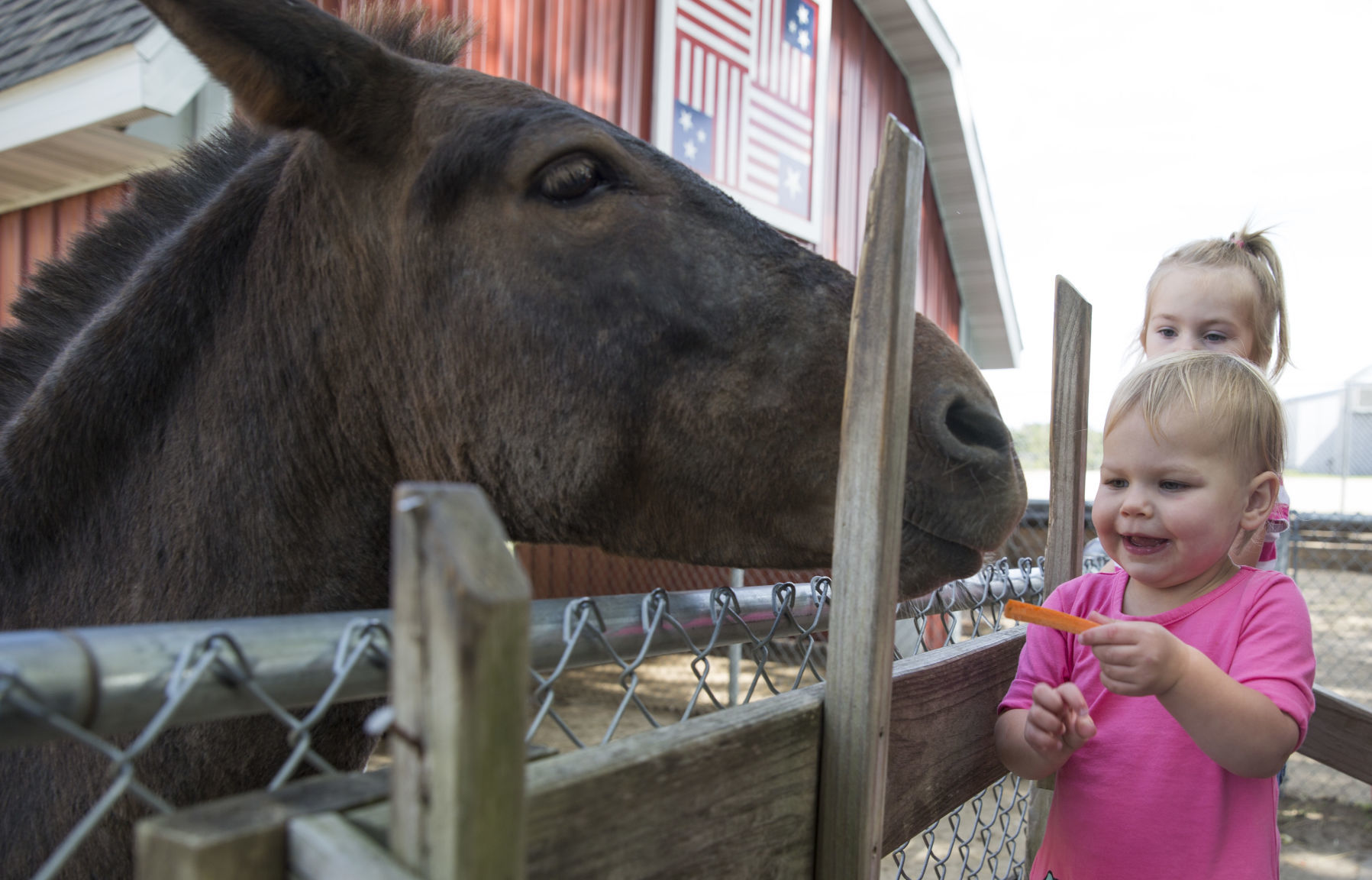 082419kw-petting-zoo-01